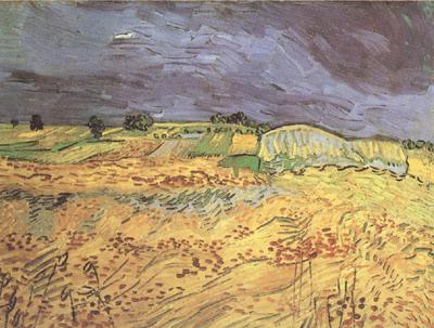 Vincent Van Gogh The Fields (nn04) oil painting picture